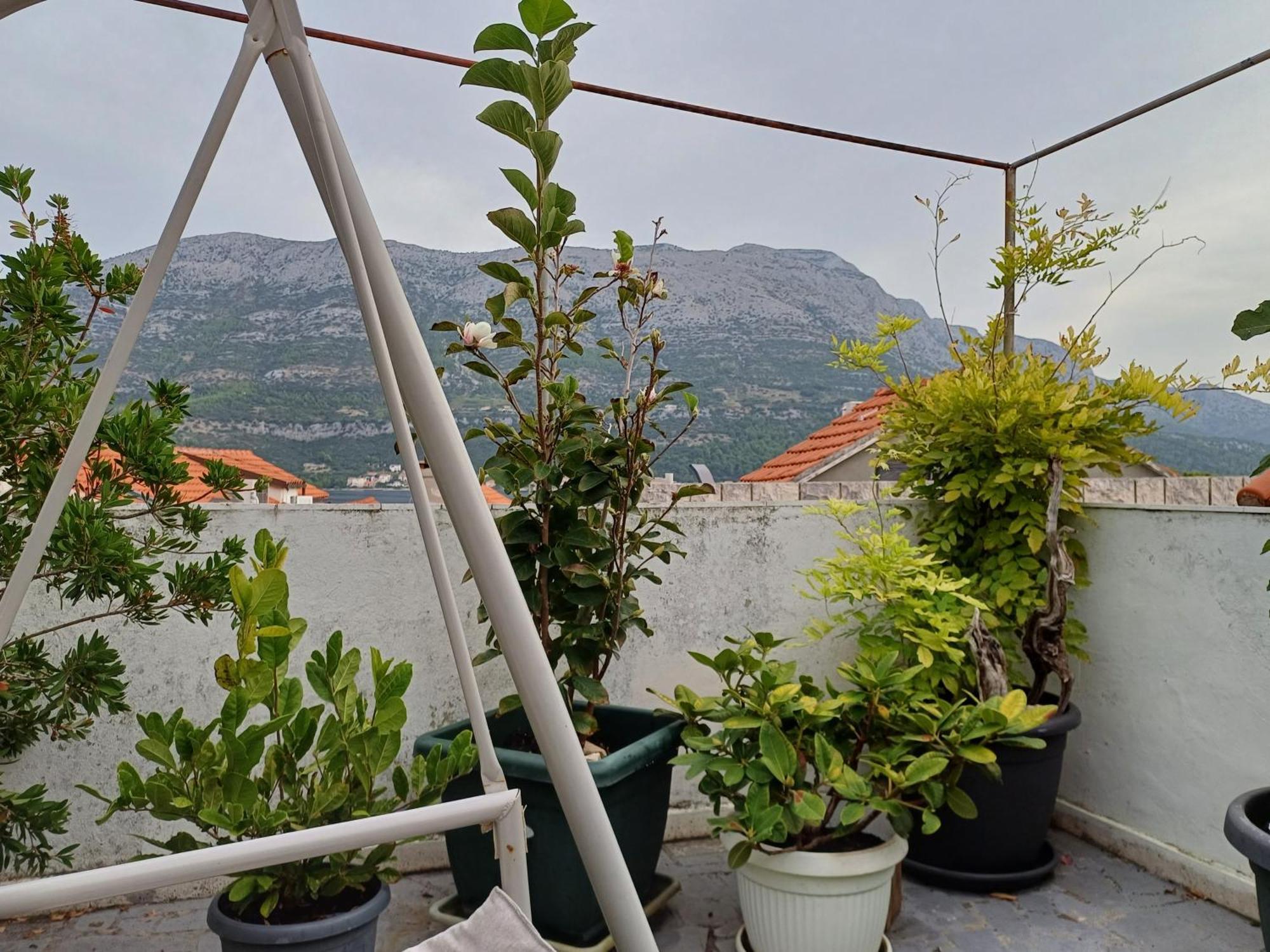 קורצולה Guest House Jungher מראה חיצוני תמונה