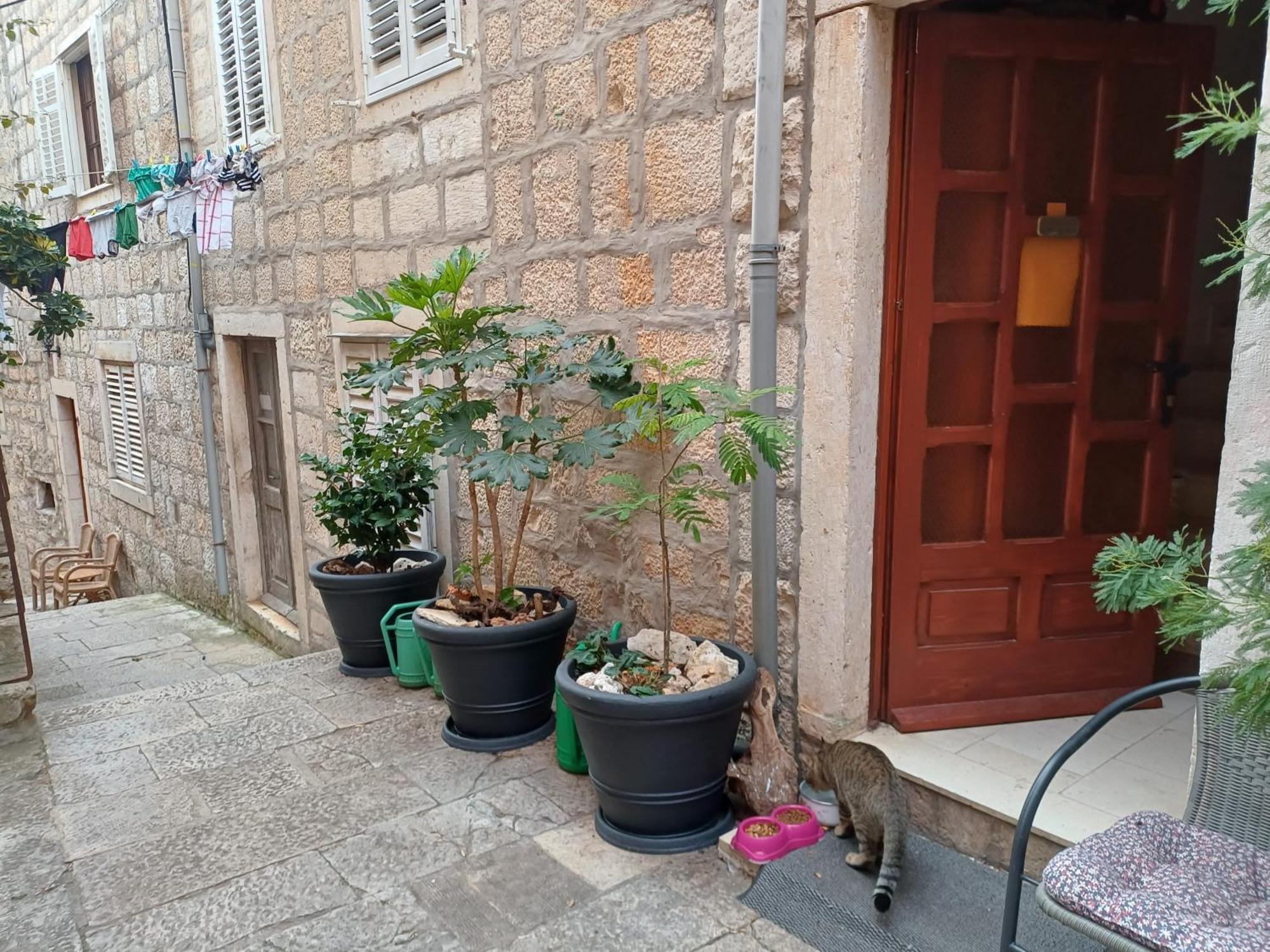 קורצולה Guest House Jungher מראה חיצוני תמונה